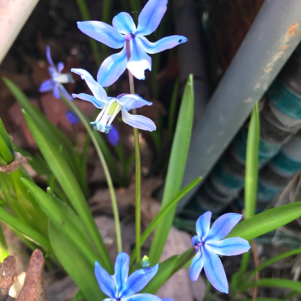 Meet your Posher, Jen